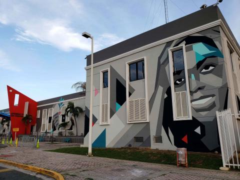 Puerto Rico Public Art Project, Artists