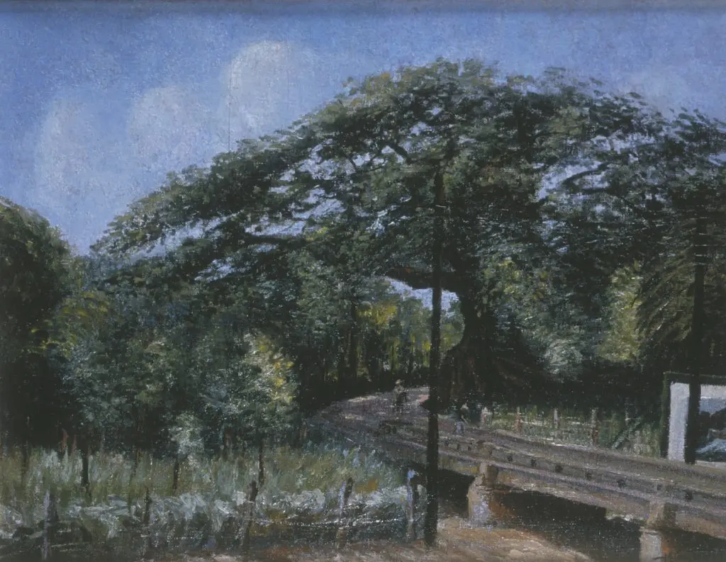 El paseo del portugués