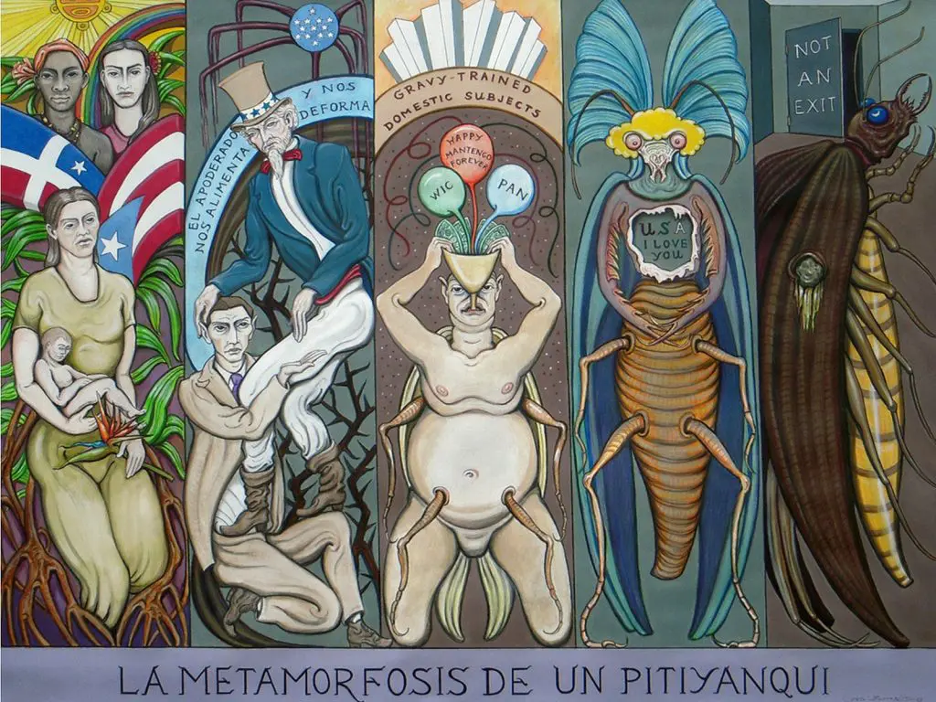 La metamorfosis de un Pityyanqui