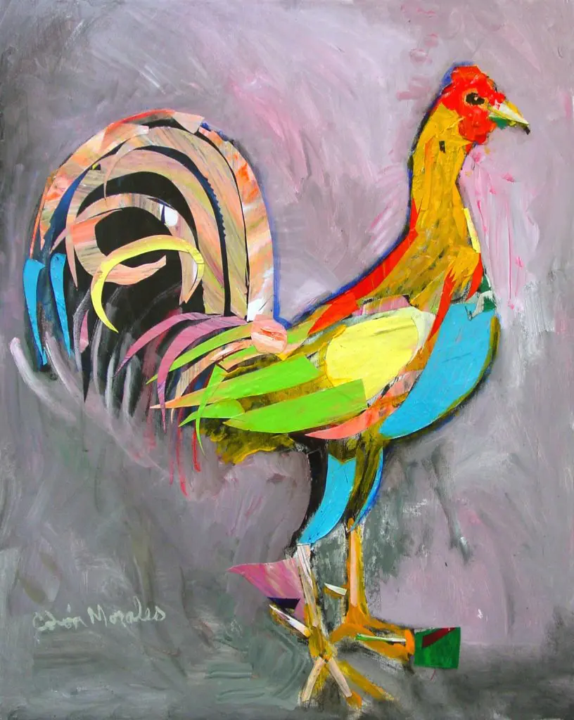 Gallo Pecho Cielo