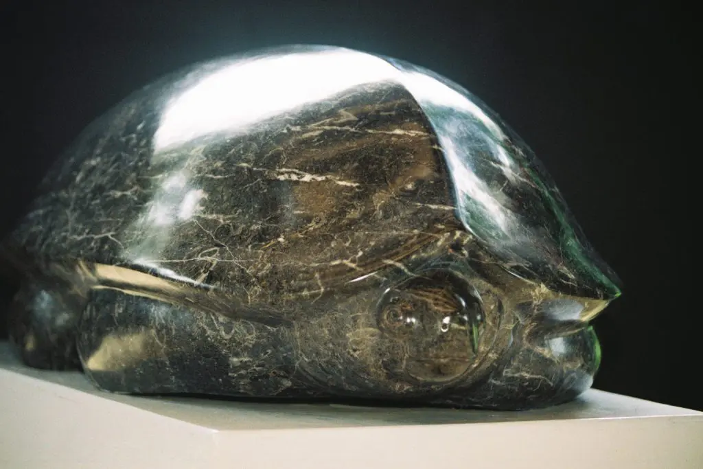 Tortuga