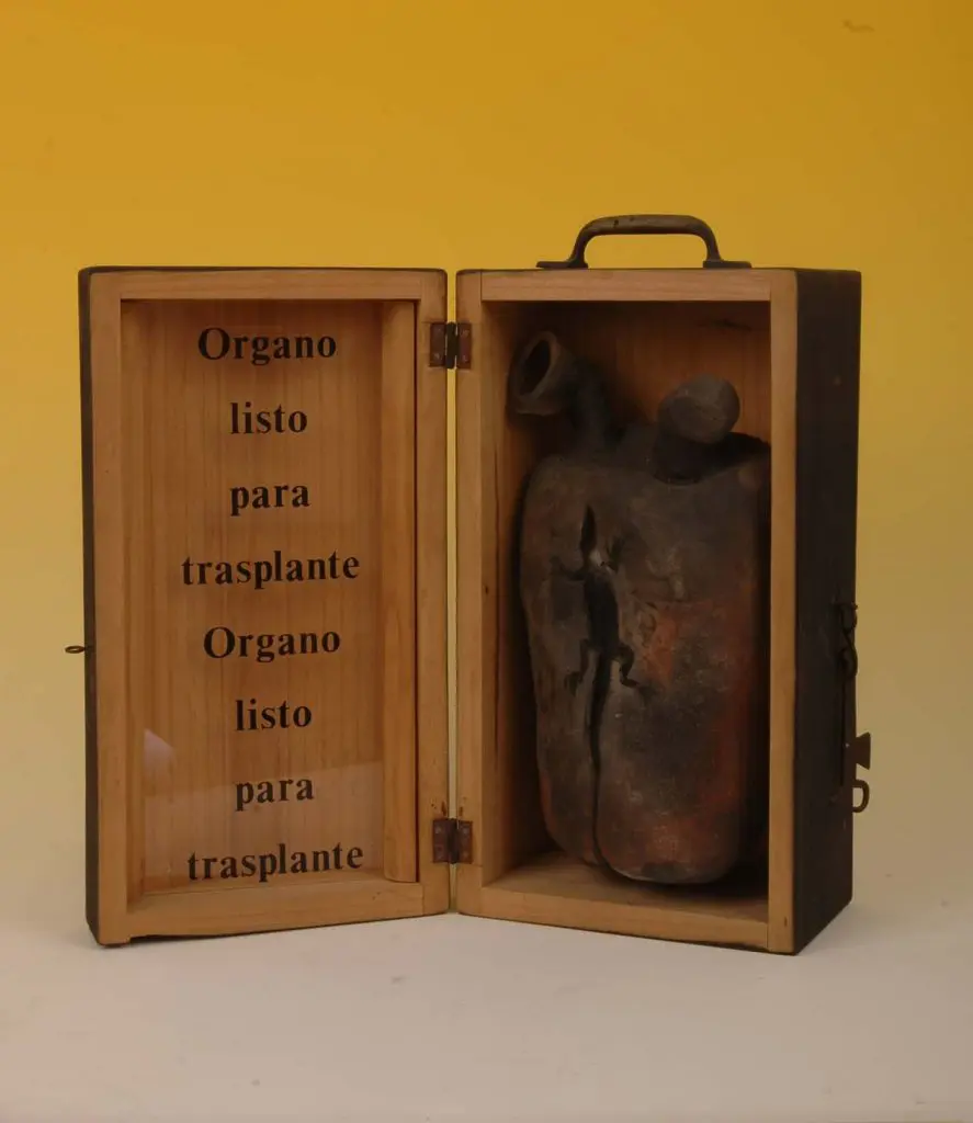 Órgano listo para trasplante