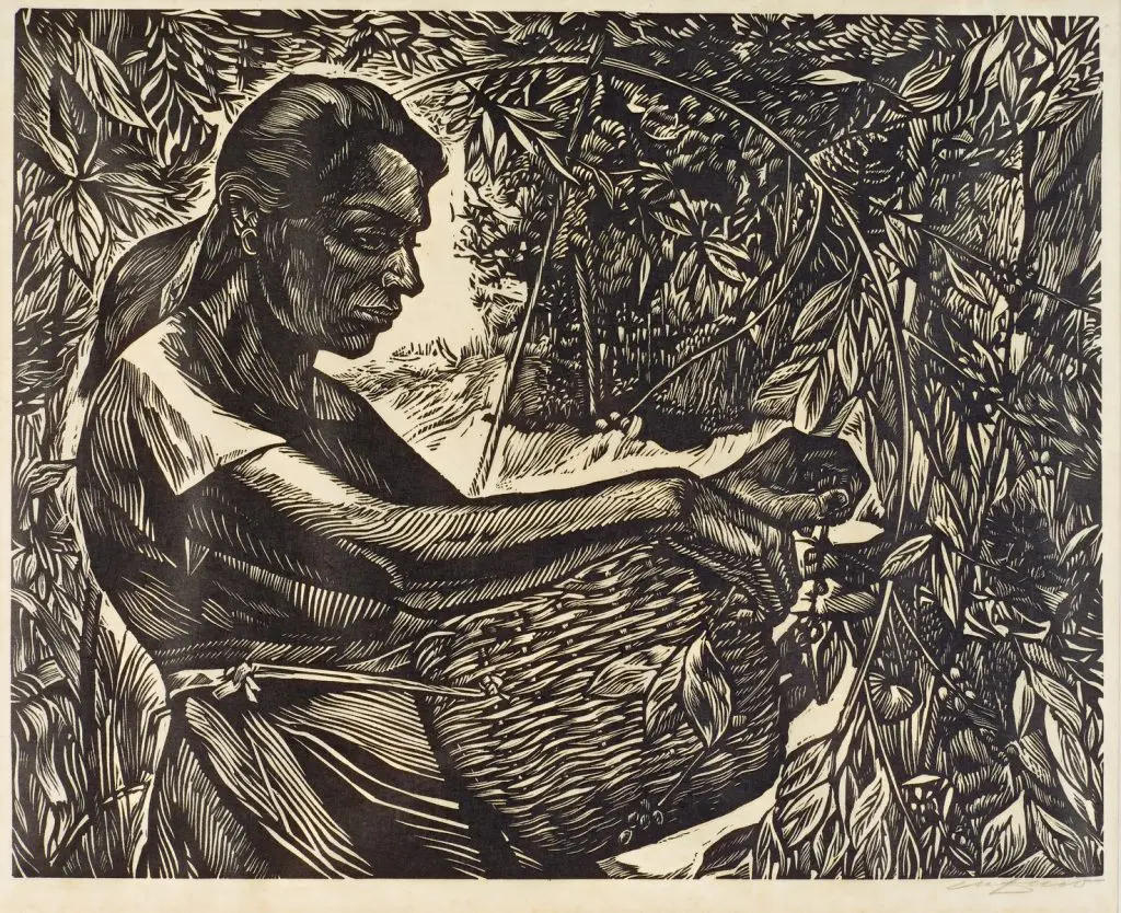 Portafolio del Café