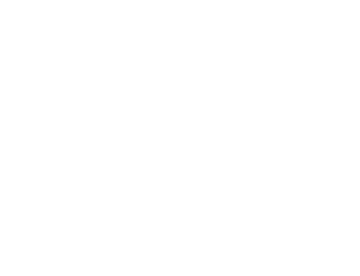 Museo de Arte de Puerto Rico Logo Blanco