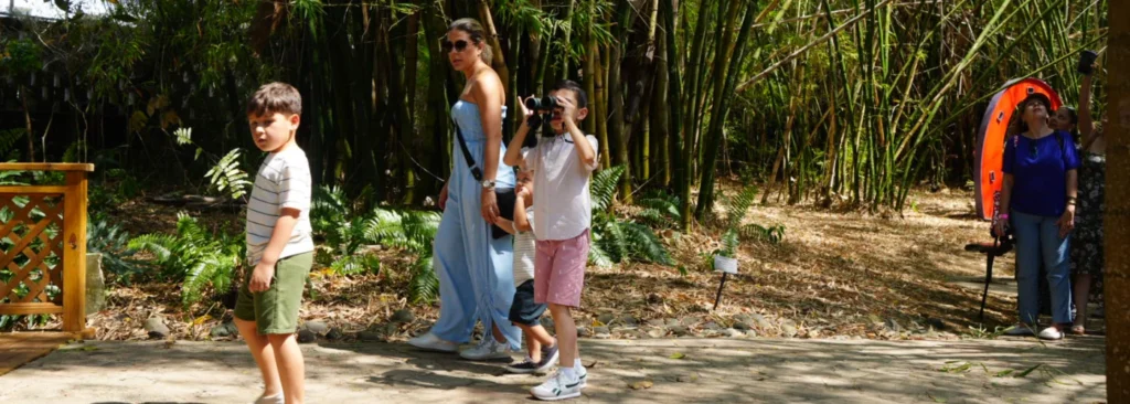 People walking in sculpture garden