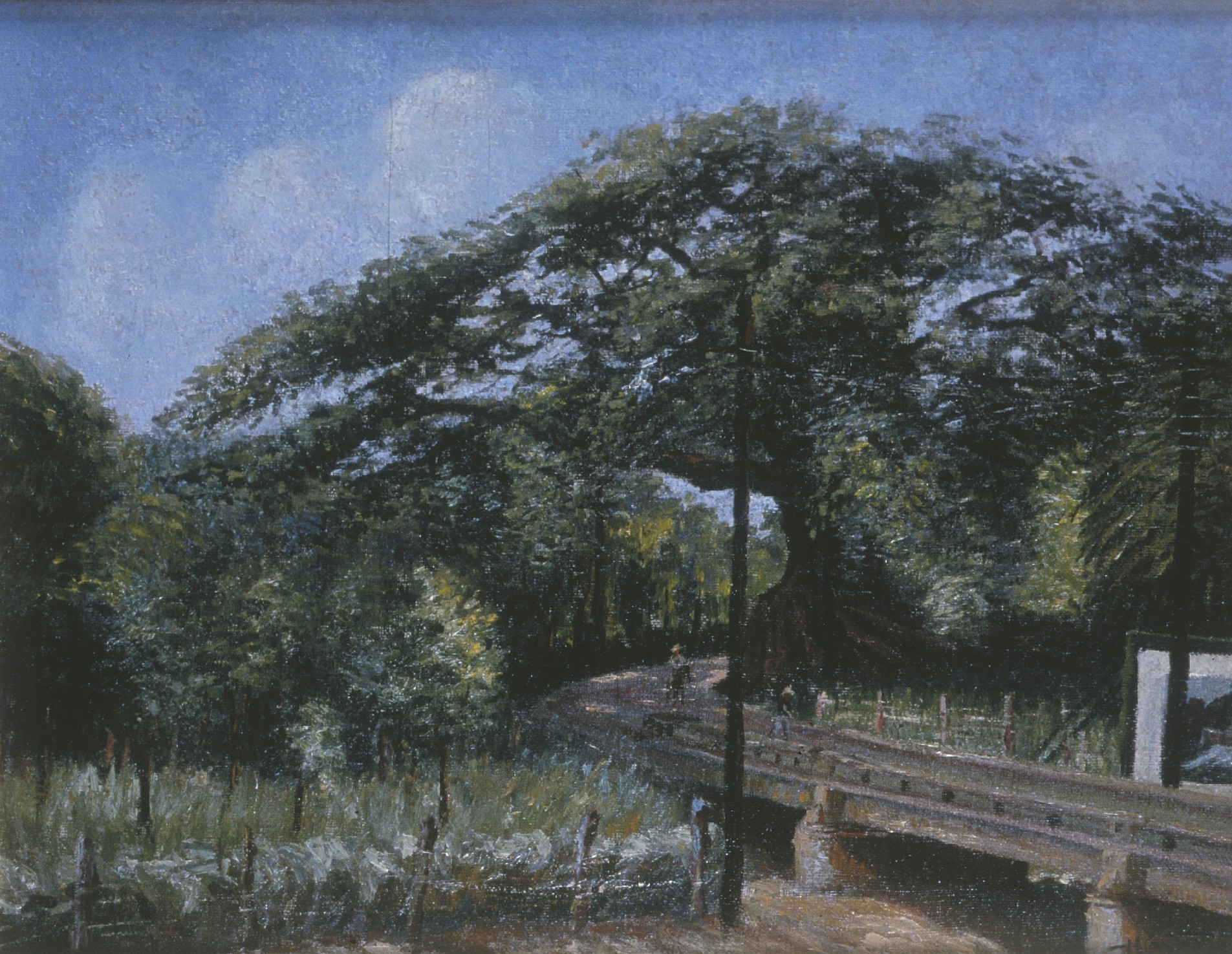 El paseo del portugués