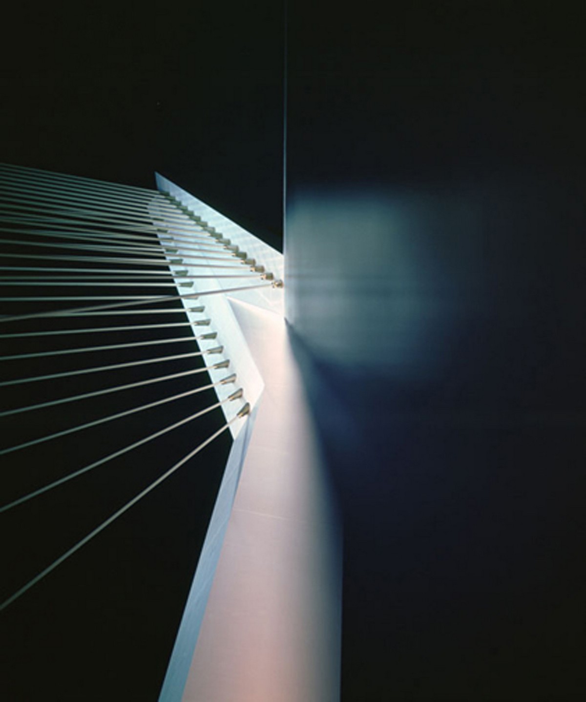 Limbo (serie)