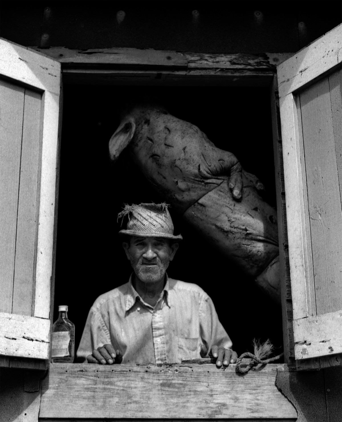 Don Lolo, Tradiciones: Album de la Puertorriqueñidad