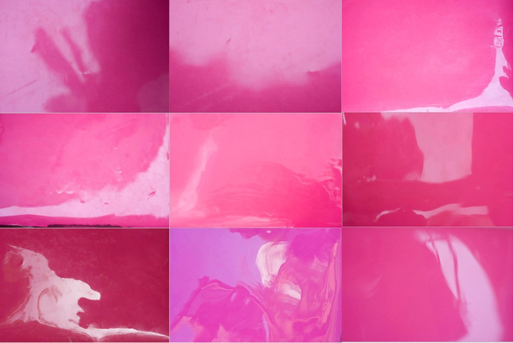 Paisaje Rosa