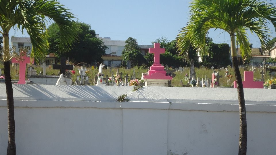 Sector rosa calle
