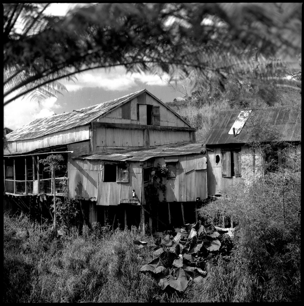 Hacienda Llanada, Haciendas Cafetaleras de Puerto Rico