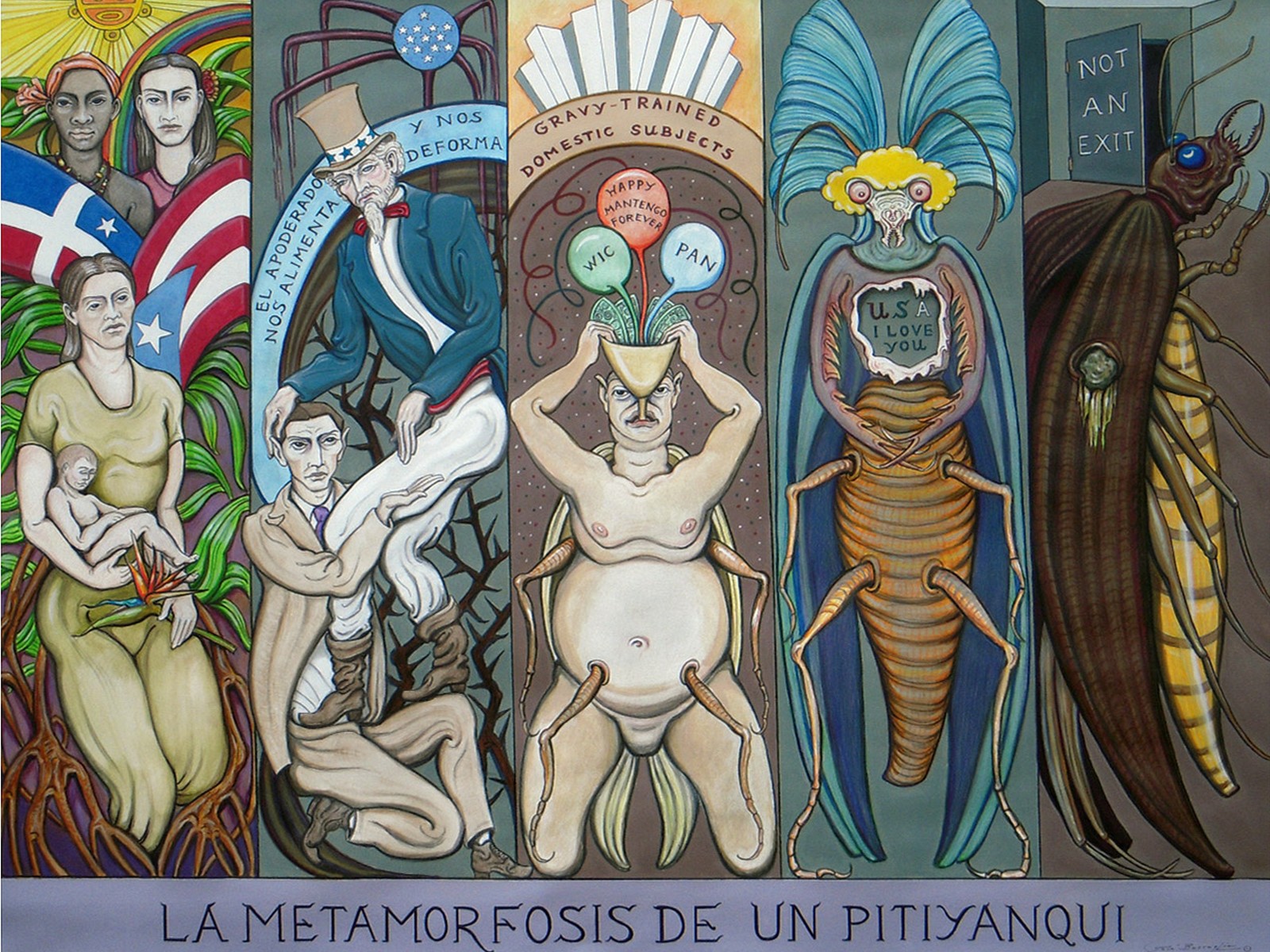 La metamorfosis de un Pityyanqui