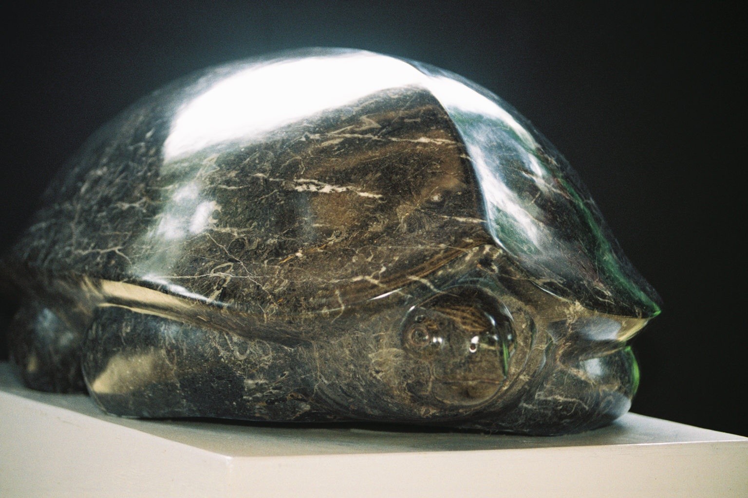 Tortuga