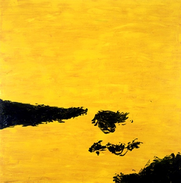 A field of sunflower