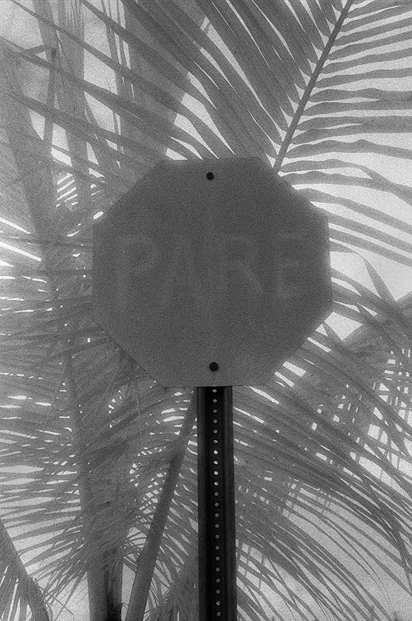 Pare (de la serie PR calor)