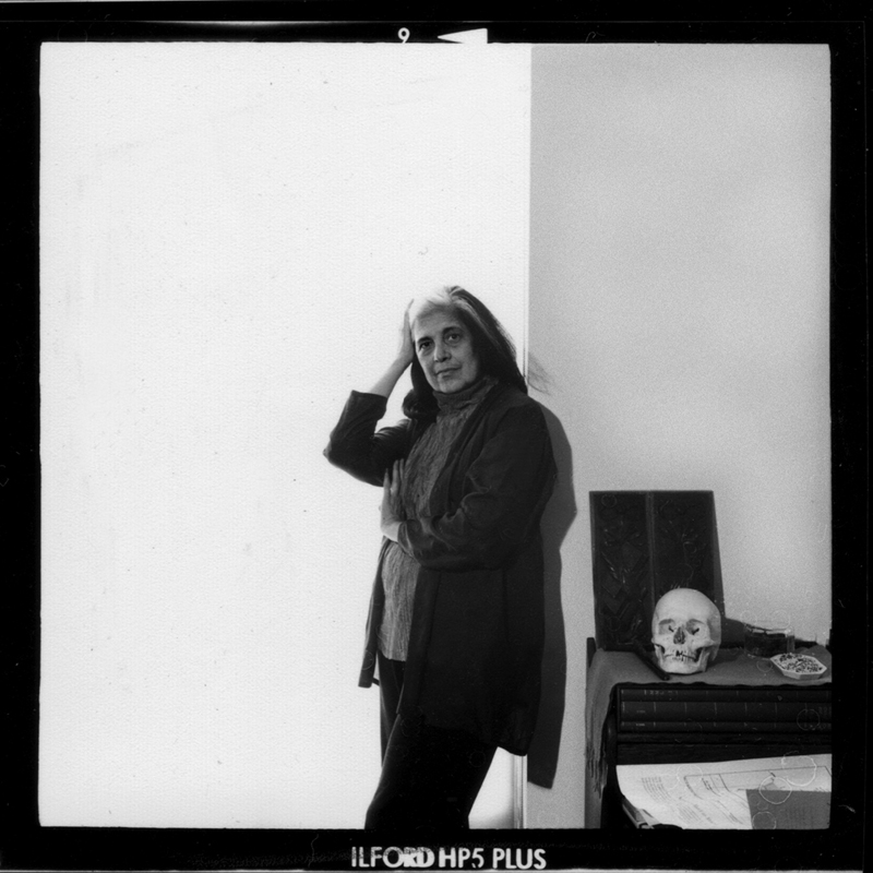 Retrato de Susan Sontag