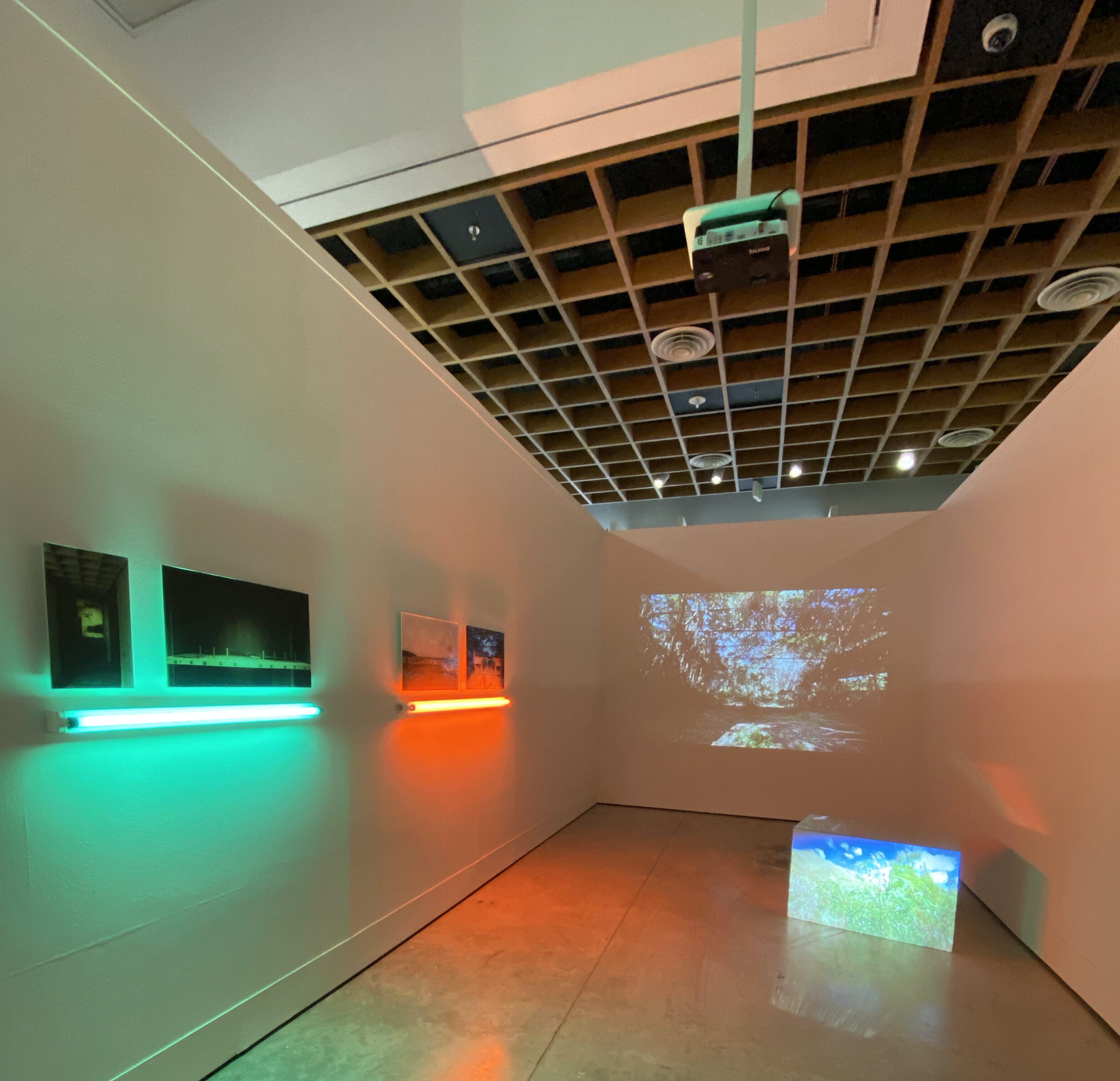 Vista de sala de obras en la exhibición ‘Espacio Común’, Museo de Arte de Puerto Rico (2019)